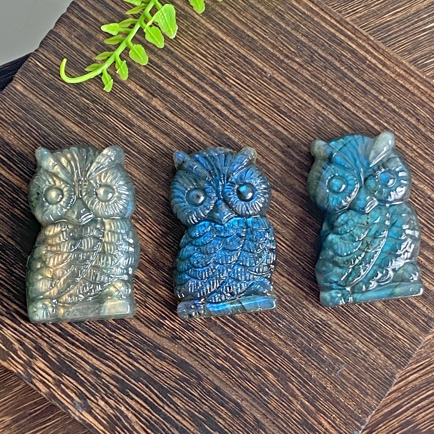 Labradorite Owl