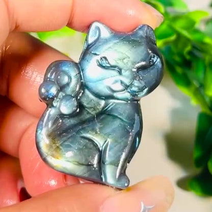 Labradorite Purple Yellow Blue Light Cute Cat